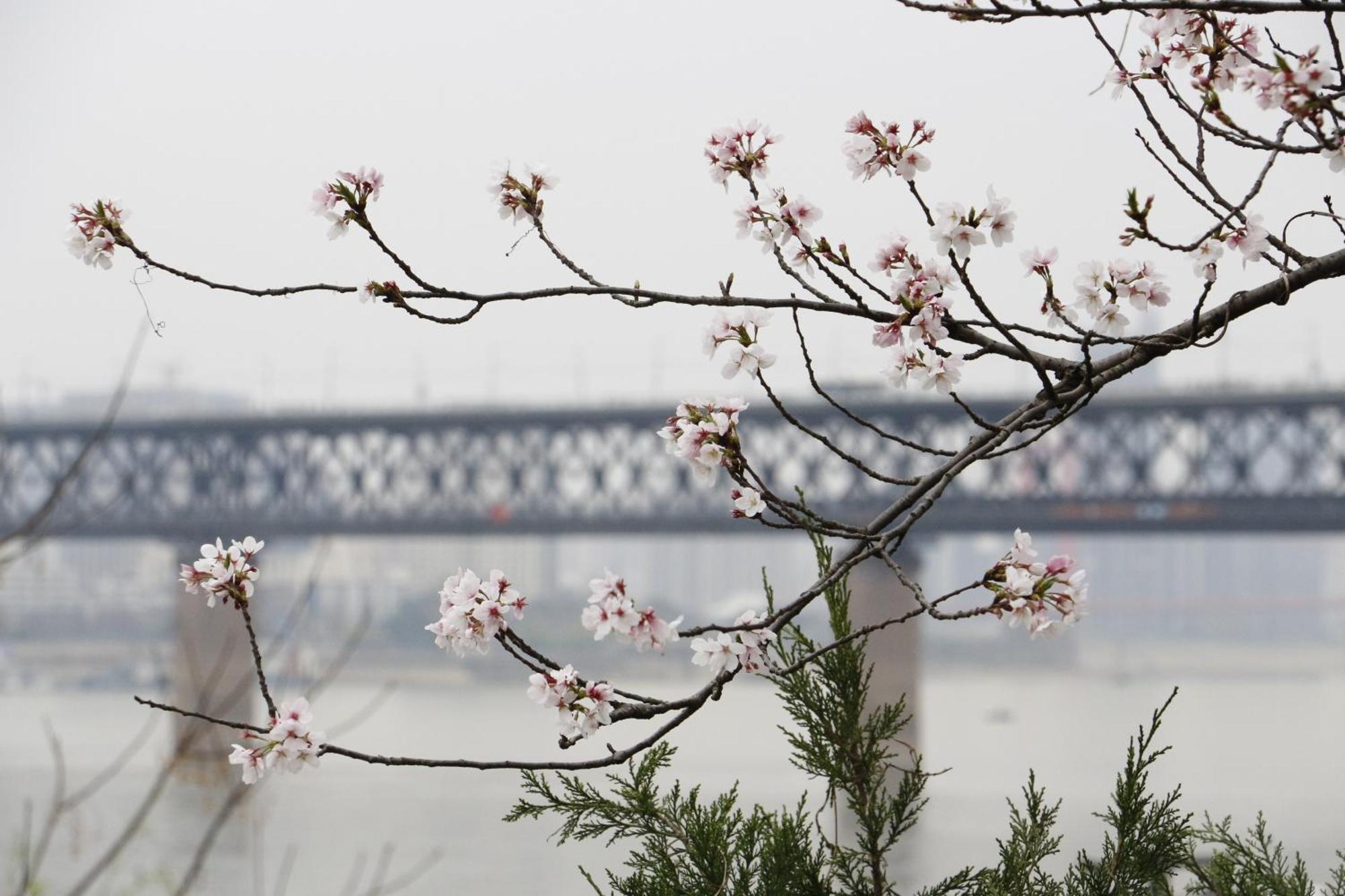 Holiday Inn Wuhan Riverside, An Ihg Hotel Extérieur photo